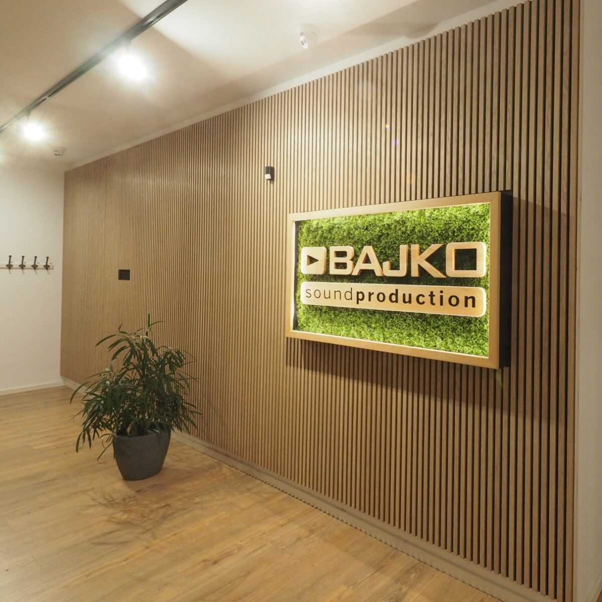 Drevené lamely - drevený obklad