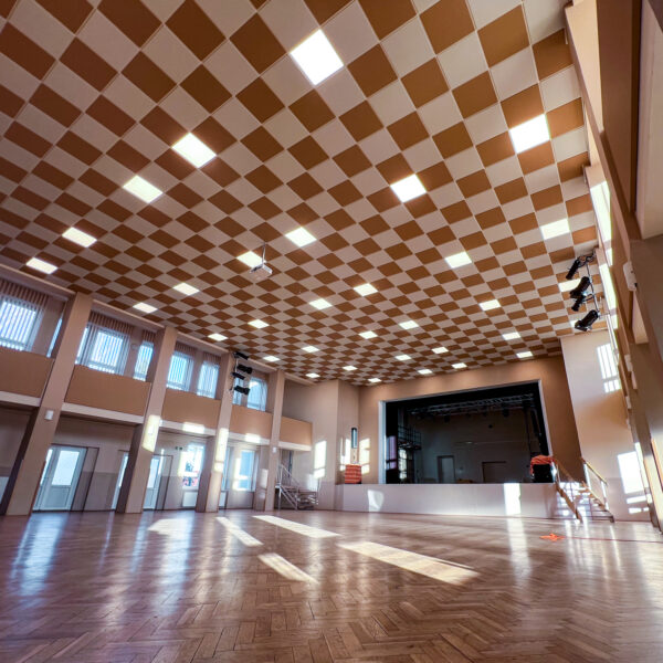 Ecophon v kultúrnom dome